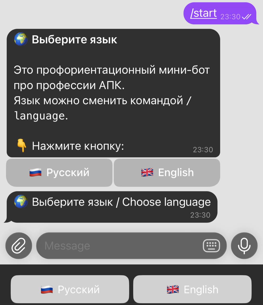 Language selection RU/EN