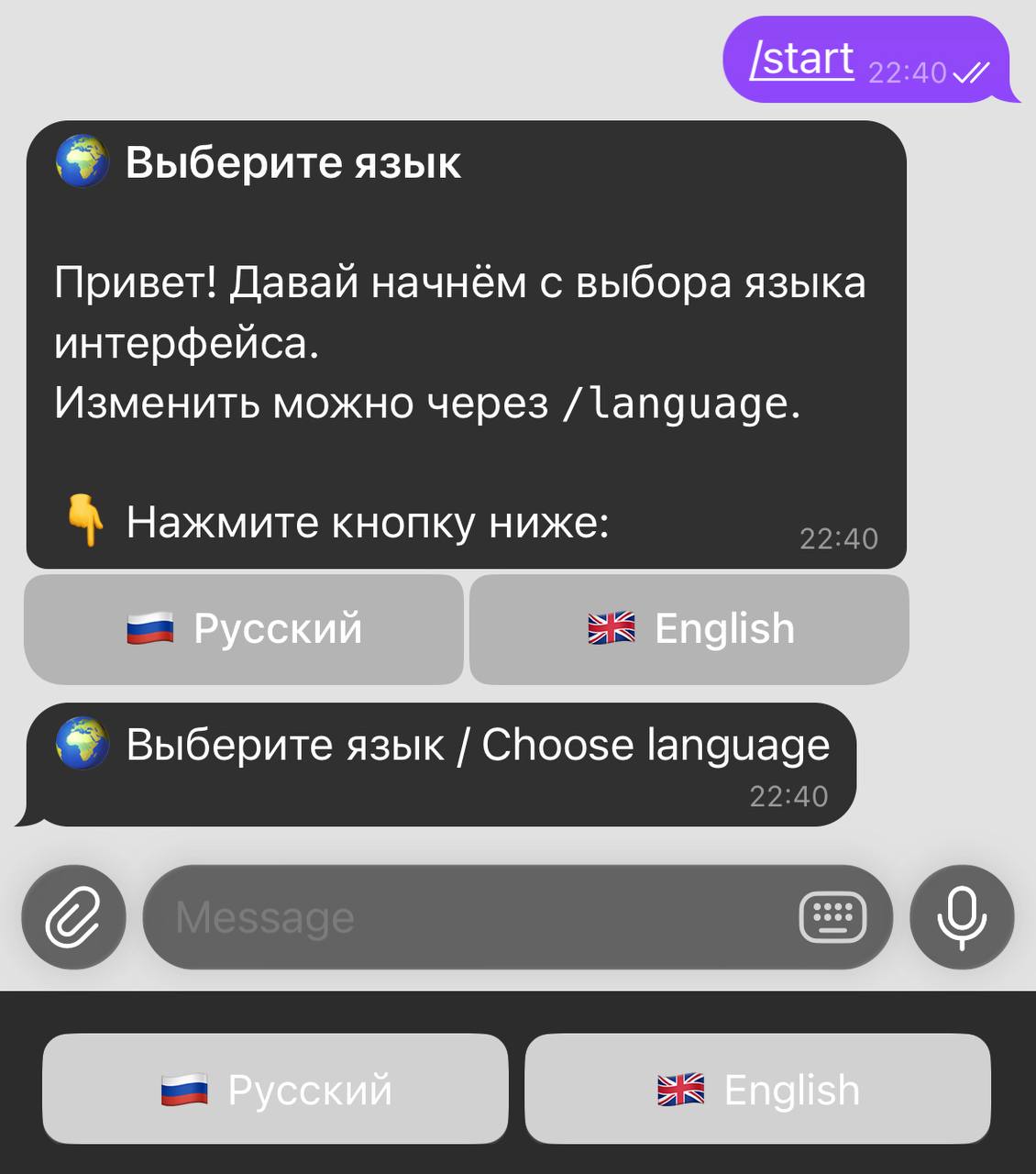 Language selection: Russian / English